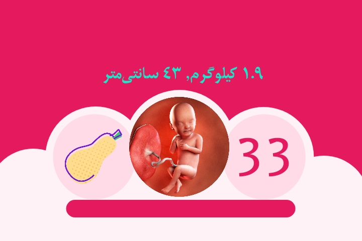 هفته سی و سوم بارداری