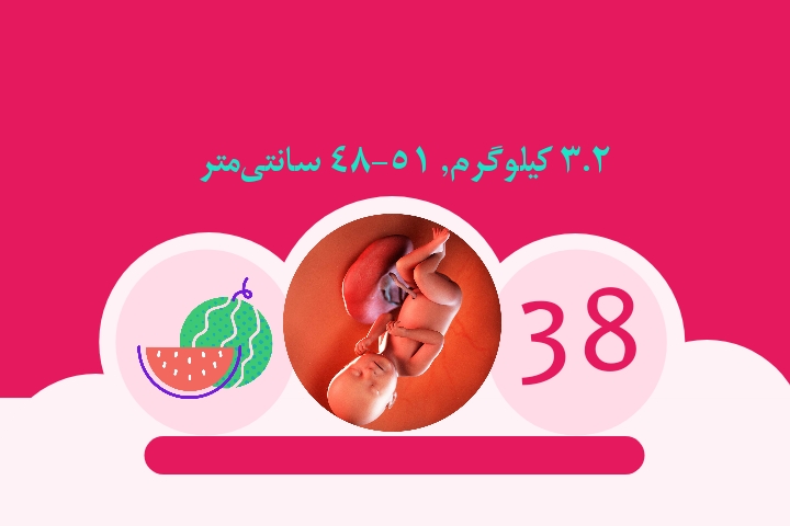 هفته سی و هشتم بارداری