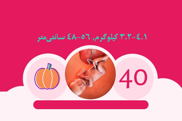 هفته چهلم بارداری