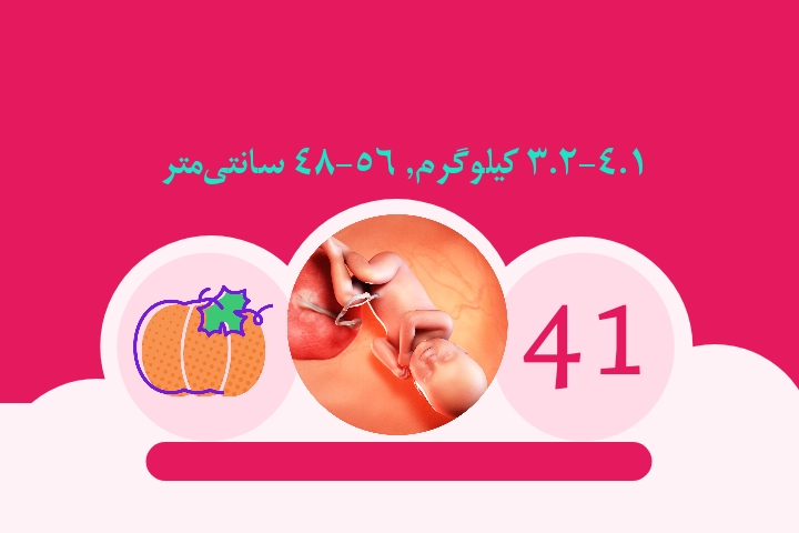هفته چهل و یکم بارداری