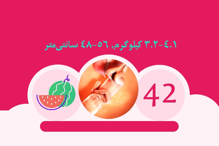 هفته چهل و دوم بارداری